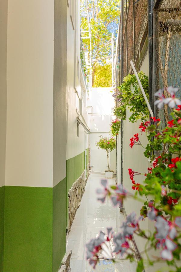 Dahill 196 Dalat Hotel Exterior photo